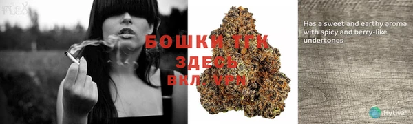 мяу мяу кристалл Лихославль