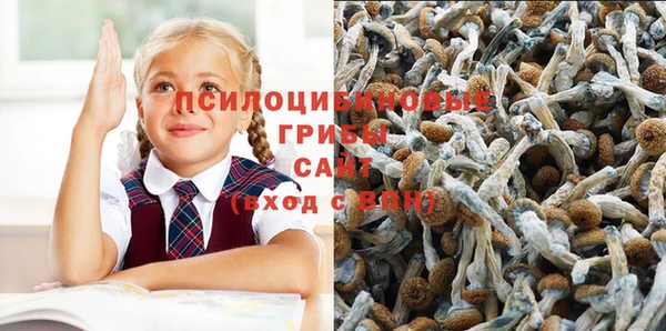 метадон Майский