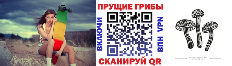 площадка наркотические препараты  Сосногорск  Галлюциногенные грибы Psilocybine cubensis 